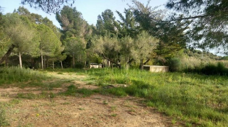 Tarragona - Reus - 8006m2