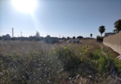 Terreny no urbanitzable en venda a la España, Sanlúcar de Barrameda, ref.: TR402449 foto