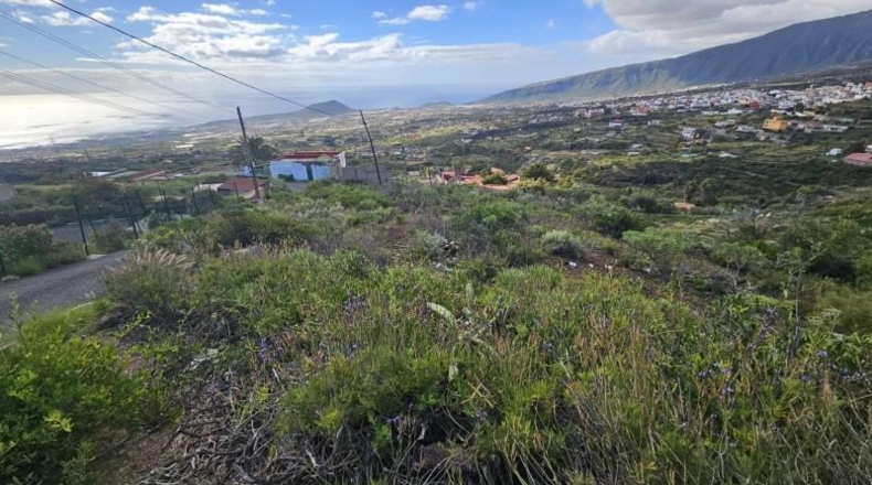 Santa Cruz de Tenerife - Arafo - 2600m2