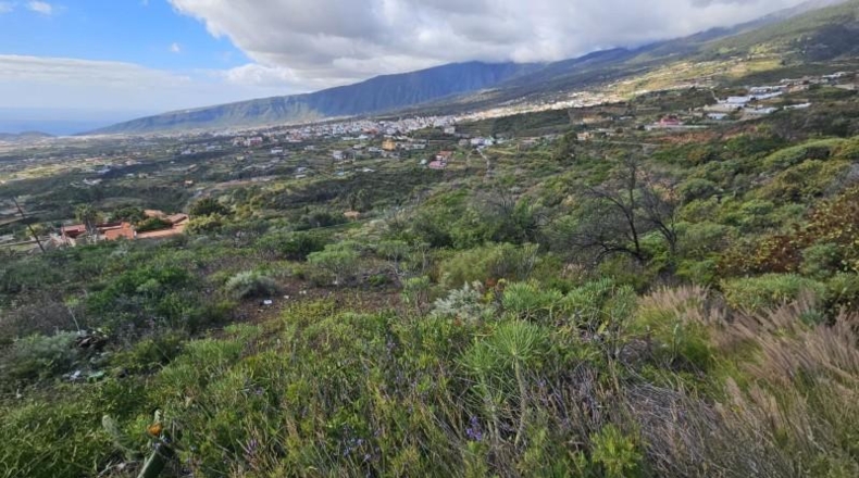 Santa Cruz de Tenerife - Arafo - 2600m2