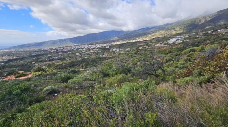 Santa Cruz de Tenerife - Arafo - 2600m2