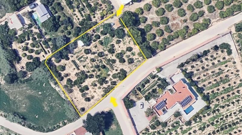Murcia - Múrcia - 2100m2