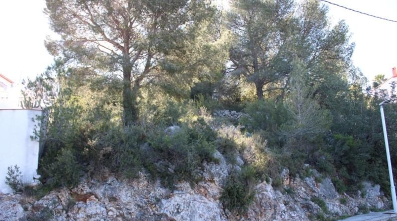 Valencia - Fuente Encarroz - 780m2