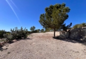 Casa de campo con terreno en venta en la España, Abanilla, ref: TR402488 foto