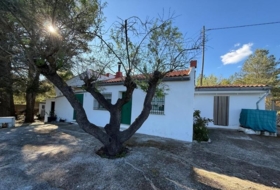 Alzira 7860&nbsp;m² 