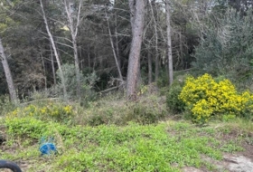 Foto 15