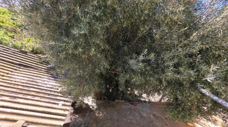 Alicante - Orihuela - 3100m2