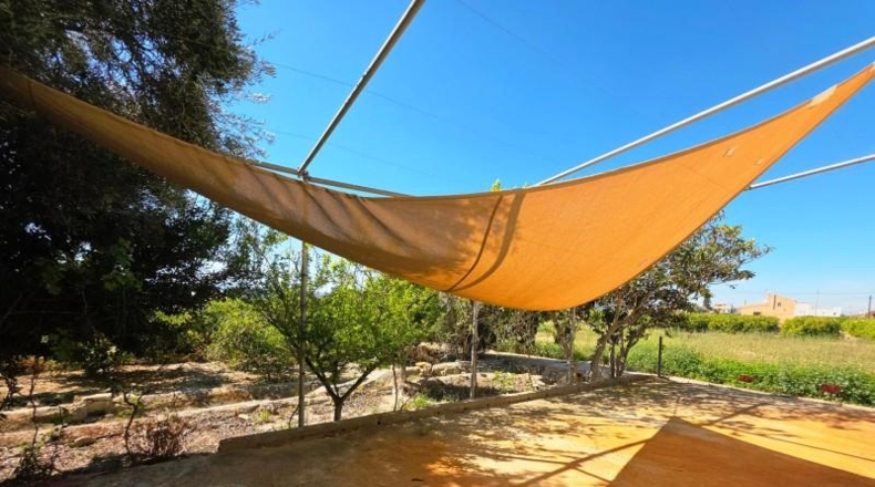 Alicante - Orihuela - 3100m2