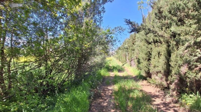 Malaga - Màlaga - 7330m2