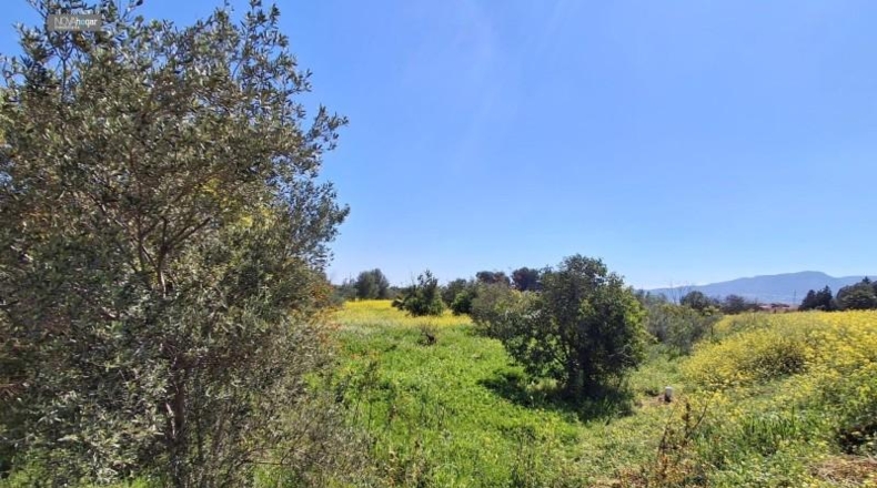 Malaga - Màlaga - 7330m2