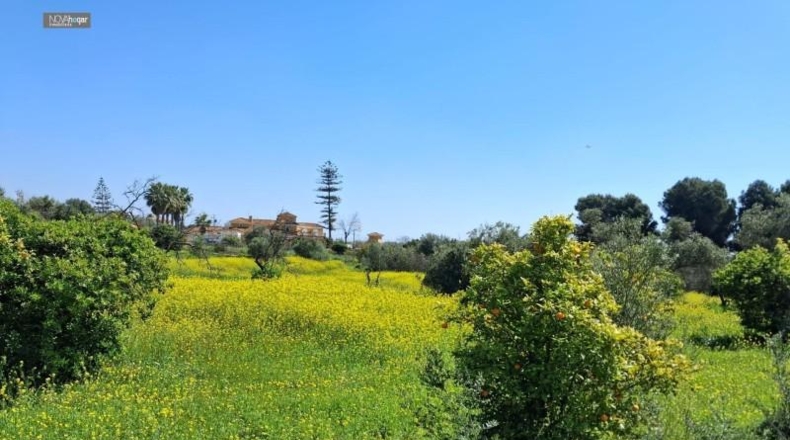 Malaga - Màlaga - 7330m2