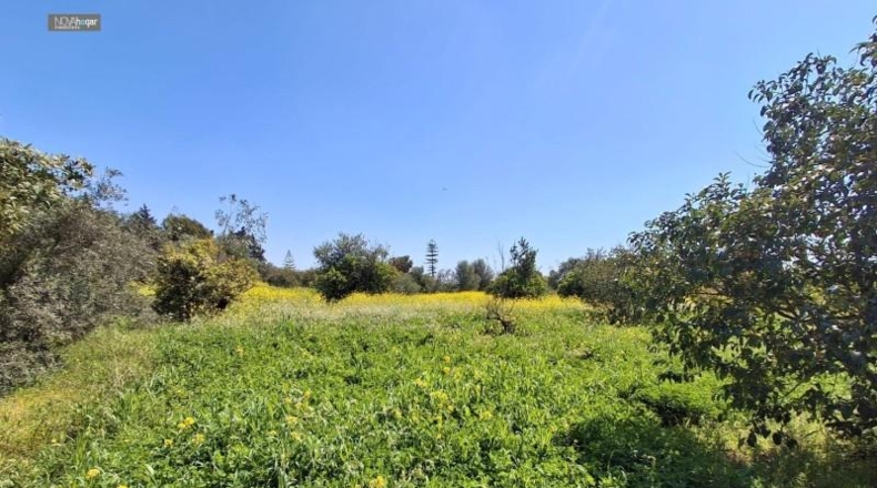 Malaga - Màlaga - 7330m2