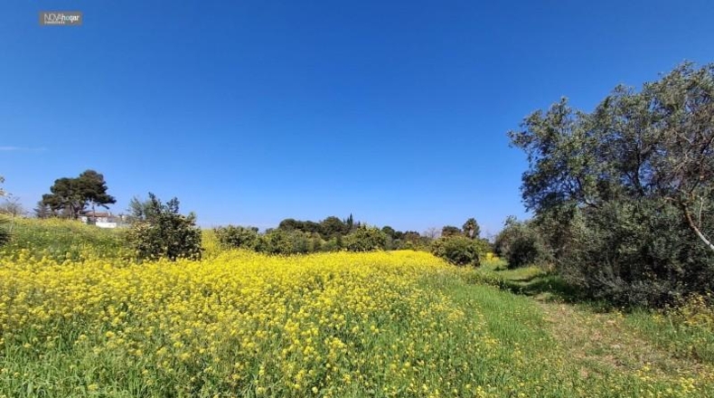 Malaga - Màlaga - 7330m2