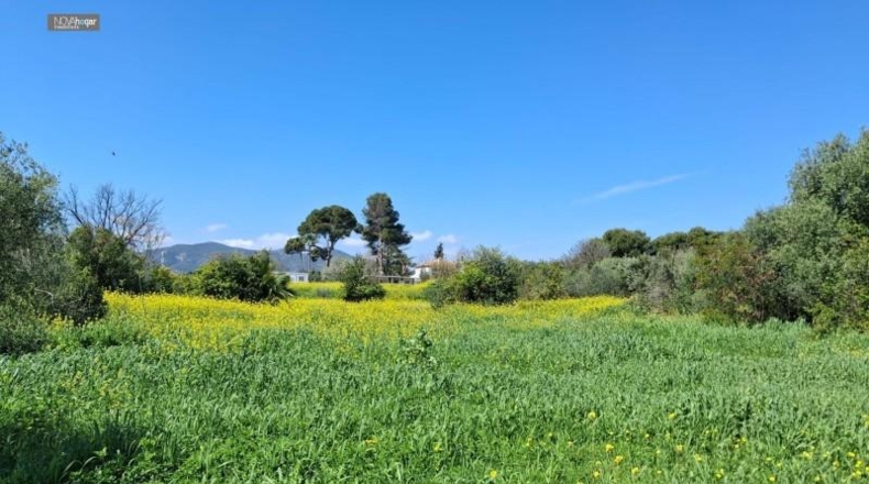 Malaga - Màlaga - 7330m2