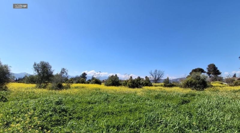 Malaga - Màlaga - 7330m2