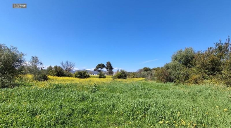 Malaga - Màlaga - 7330m2