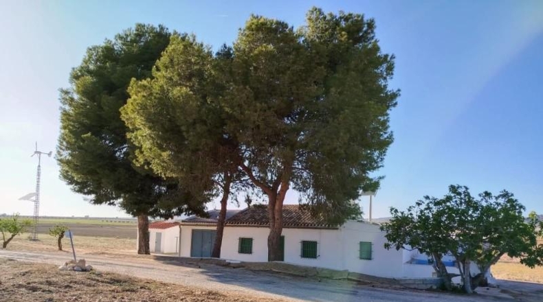 Murcia - Yecla - 55000m2