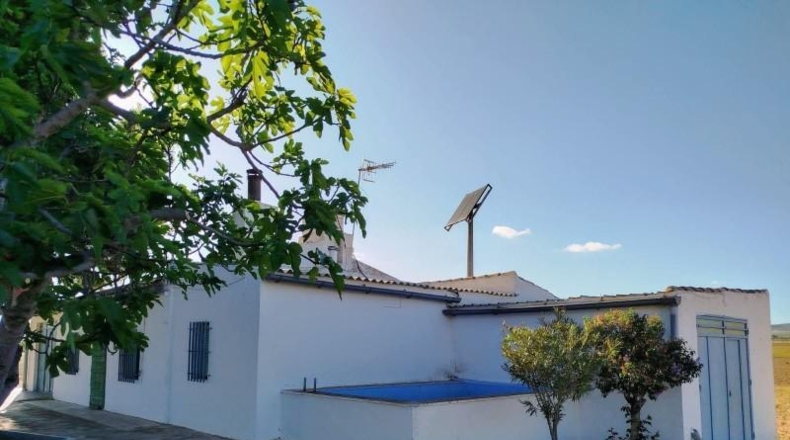Murcia - Yecla - 55000m2
