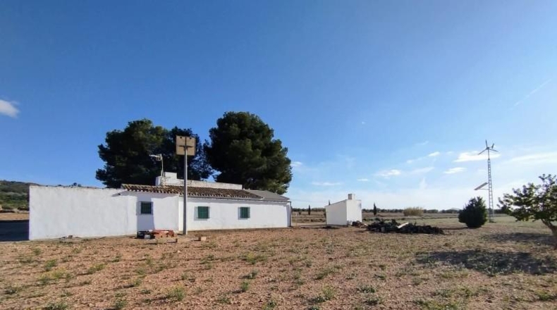 Murcia - Yecla - 55000m2