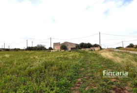 Manacor 11423&nbsp;m²
