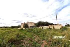 Manacor 11423&nbsp;m²