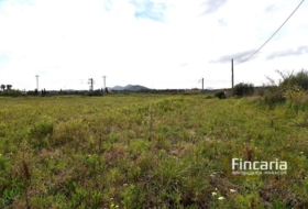 Manacor 11423&nbsp;m²