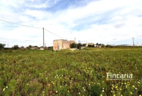 Manacor 11423&nbsp;m²