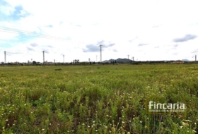Manacor 11423&nbsp;m²