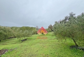 Arriate 95&nbsp;m² 