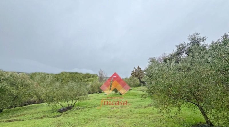 Malaga - Arriate - 95m2