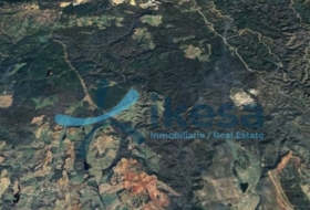 Niebla 468093&nbsp;m²