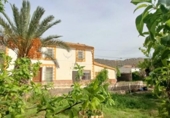 Xalet independent amb terreny en venda a la España, Elx, ref.: TR402576 foto
