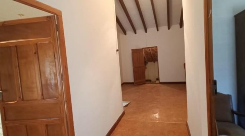 Alicante - la Romana - 6386m2