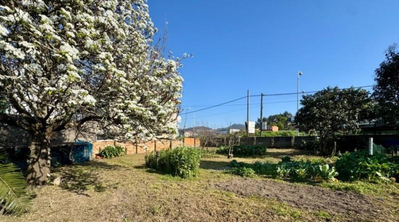Pontevedra - Vigo - 748m2