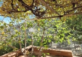 Chalet independiente con terreno en venta en la España, La Guardia de Jaén, ref: TR402586 foto