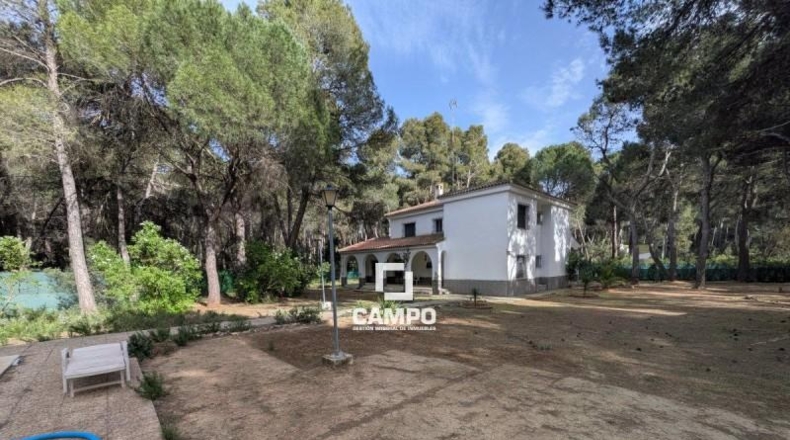 Albacete - Albacete - 240m2