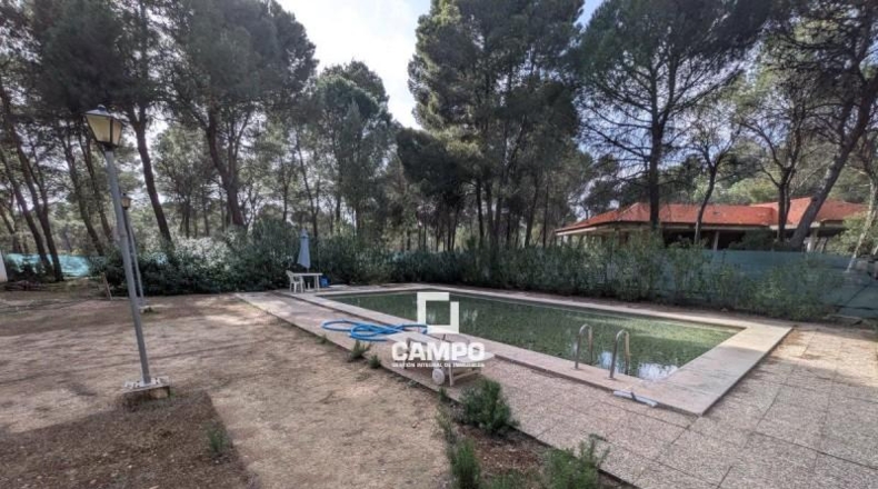 Albacete - Albacete - 240m2