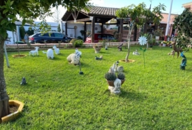 Foto 7