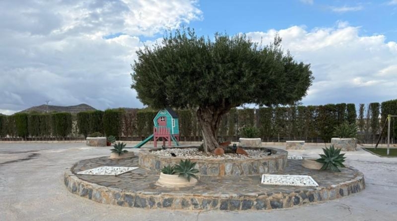 Alicante - Эльче - 2000m2