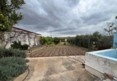 Finca rústica en venda a la España, Osuna, ref.: TR402671 foto