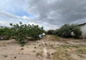 Finca rústica en venda a la España, Osuna, ref.: TR402671 foto