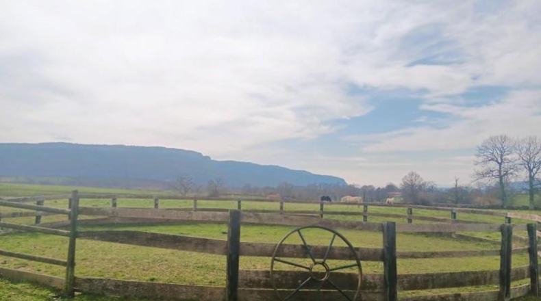 Burgos - Espinosa de los Monteros - 24554m2