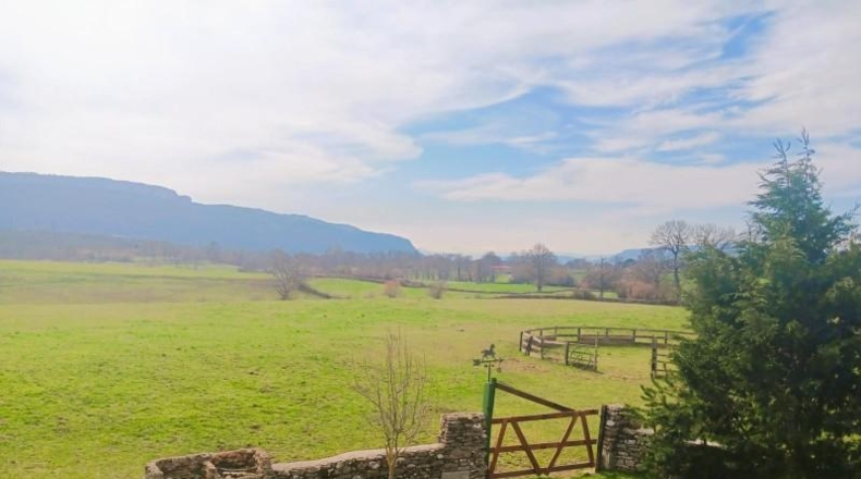Burgos - Espinosa de los Monteros - 24554m2