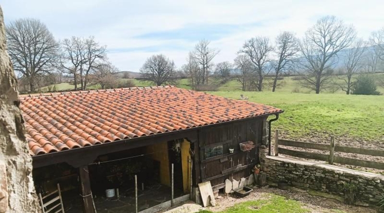 Burgos - Espinosa de los Monteros - 24554m2