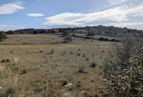 Son Servera 15879&nbsp;м²