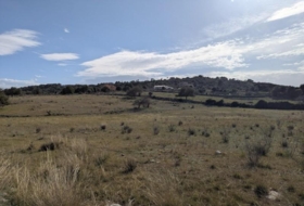 Son Servera 15879&nbsp;м²