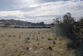 Son Servera 15879&nbsp;м²
