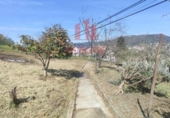 Finca rústica en venda a la España, Ourense, ref.: TR402706 foto