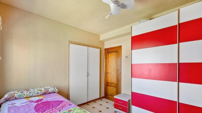 Alicante - Torrevieja - 442m2