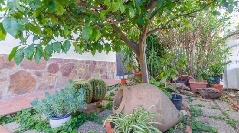 Valencia - Ribarroja del Turia - 398m2